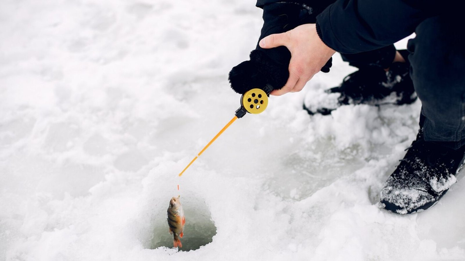a man who is ice fishing 